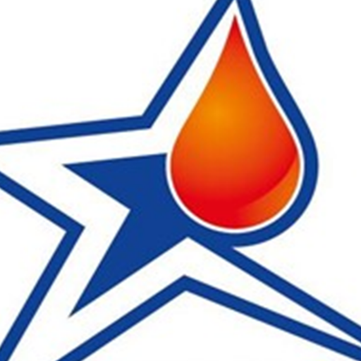 Posto Estrela logo
