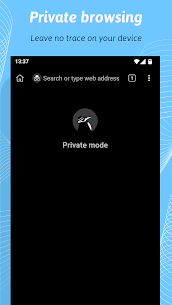 Kiwi Browser MOD APK -Fast & Quiet (Unlocked) Download 7