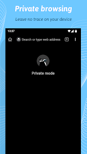 Kiwi Browser MOD APK (Mod Extra/Optimized) 7