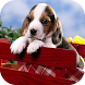 Cute Puppy Wallpapers HD - Androidアプリ
