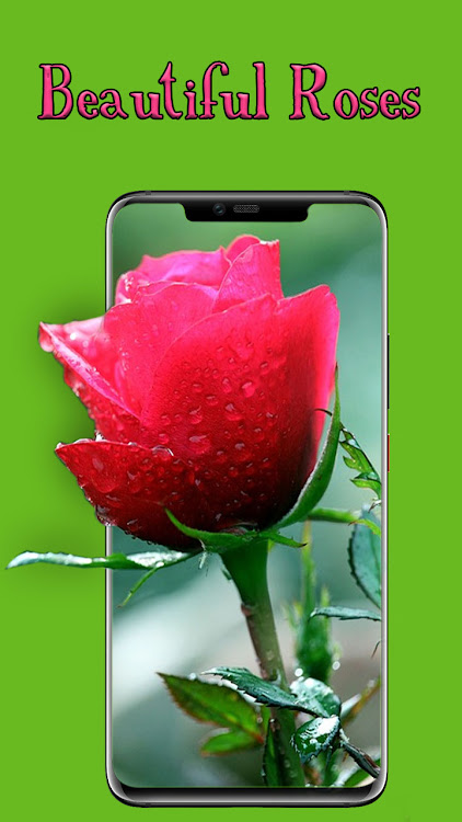 flowers Background Hd - 1.0.0 - (Android)