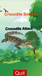 Crocodile and Alligator Sounds