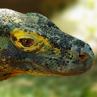Komodo 9 Chess Engine