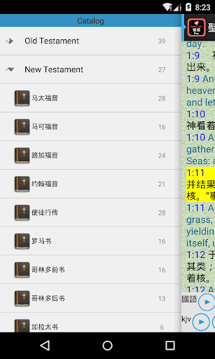 Chinese - English Audio Bible Screen 2