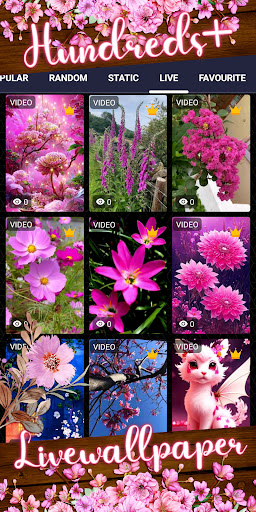 pink flower wallpaper Screenshot 3 - AppWisp.com