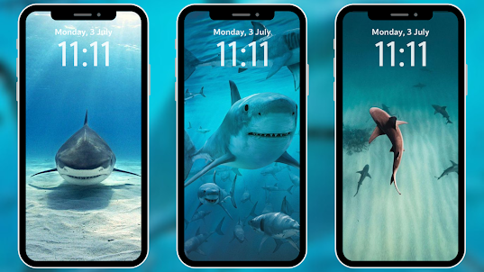 Shark Wallpapers 4K