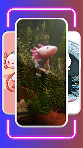 Axolotl Wallpaper