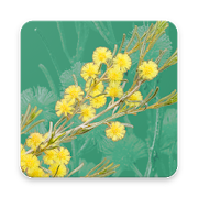 Top 20 Books & Reference Apps Like Wattle - Acacias of Australia - Best Alternatives
