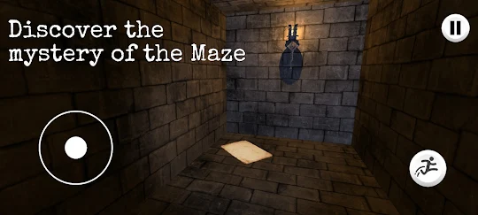 The Maze Pro