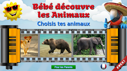 Aperçu de l'application