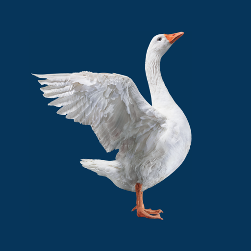 Albin Kistler logo