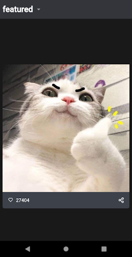 Android application Funny Cat Videos and Pictures, screenshort