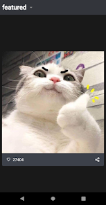 Funny Cat Videos and Pictures Apps on Google Play