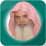 Ali Al Huthaify Offline Quran Mp3 30 Juz Apk