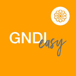 GNDI Easy: Download & Review