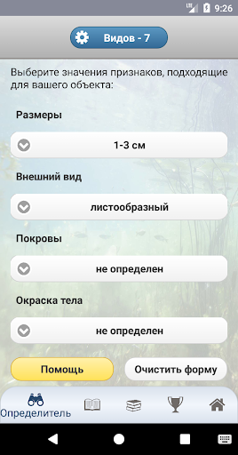 EcoGuide: Water Invertebrates Screen 2