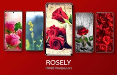 Rosely - Rose wallpapers HDのおすすめ画像1