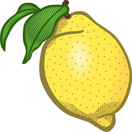 Gyógyszer Nyilvántartó logo