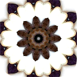 Cover Image of 下载 Intuitive Mandala Oracle Cards  APK