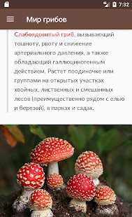 Мир грибов Справочник Screenshot