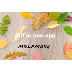 MoleMash