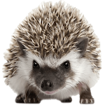 Cover Image of Télécharger Hedgehog Browser  APK