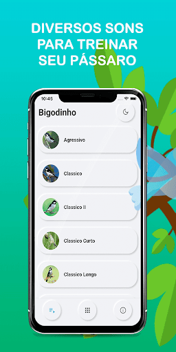 Android application Sounds of the bird Golinha screenshort