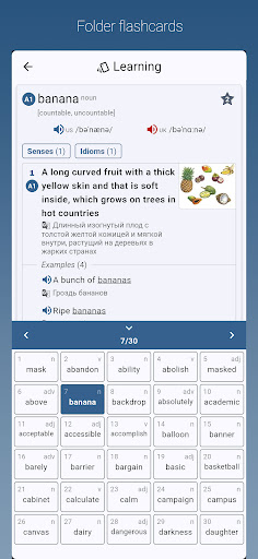 English-Russian Dictionary Pro