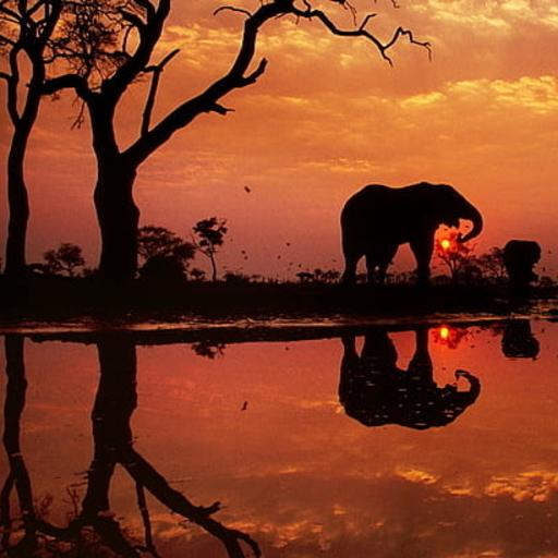 Botswana Wallpaper HD Download on Windows