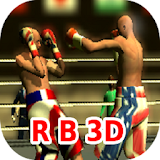 Ragdoll Boxing 3D icon