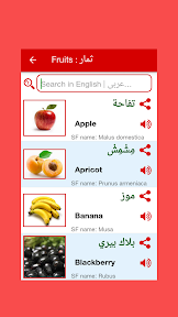 Arabic word book screenshot