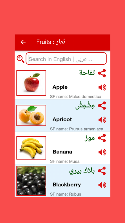 Arabic Word Book Screen 3