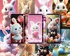 screenshot of Cute bunny live wallpaper