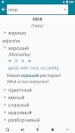 screenshot of Russian - English