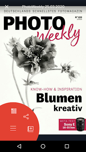 PhotoWeekly Screen 2