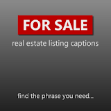 Real Estate Sales Captions icon