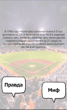 Бейсбол викторина - Screenshot 3