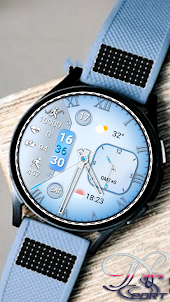 [N-SPORT299] Coral Watch Face