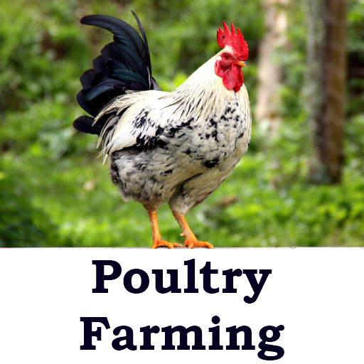 Poultry Farming Guide Download on Windows