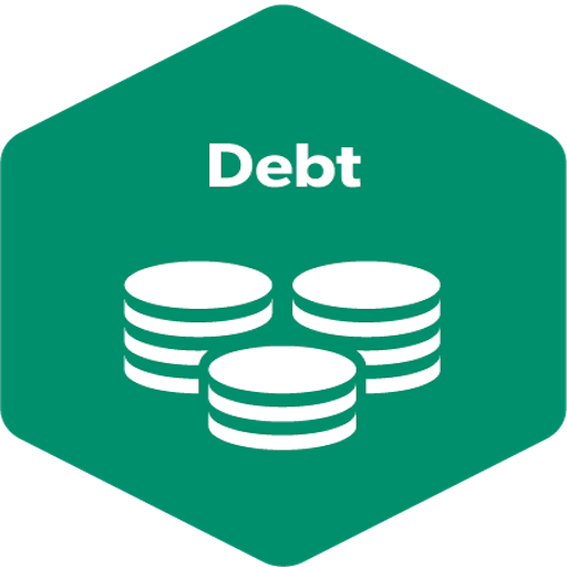 Debt Manager logo
