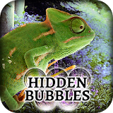Hidden Bubbles: Cute Critters icon