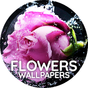 Top 20 Personalization Apps Like Flowers wallpapers - Best Alternatives