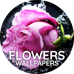 Icon image Flowers wallpaper for phone