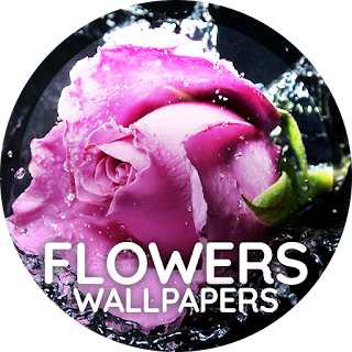 Flowers wallpaper for phone apk