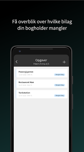 MX-Regnskab Screen 2