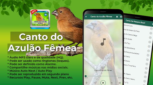 Android application Canto do Azulão Fêmea screenshort