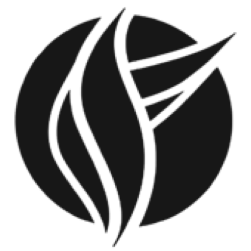 First Church of Pearland logo