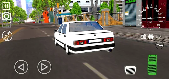 Ultimate Car Racing Simulation
