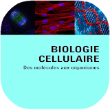 Biologie Cellulaire icon