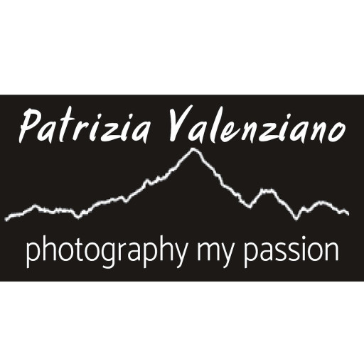 Patrizia Valenziano logo